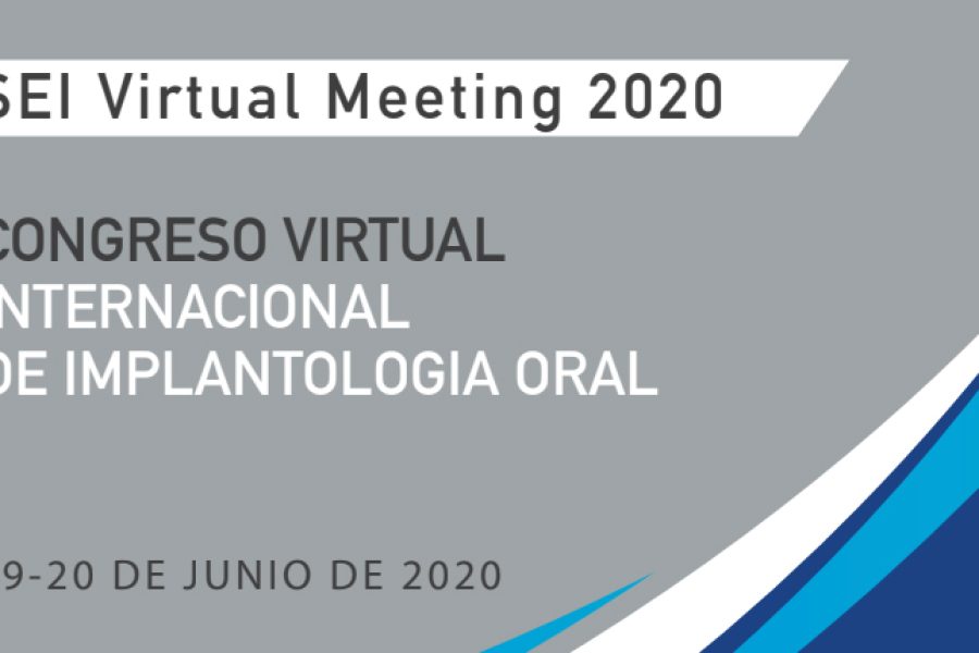 SEI Virtual Meeting 2020