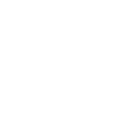 Image icon